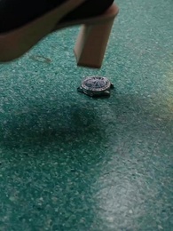 Bölüm 31 - Doğumdan Önce