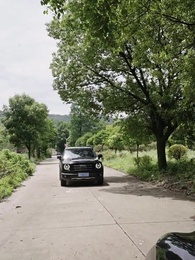 49화 - 패왕의 귀환