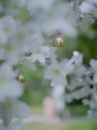 [吹替]嵐が近づき、愛だけが残された - Episode 9