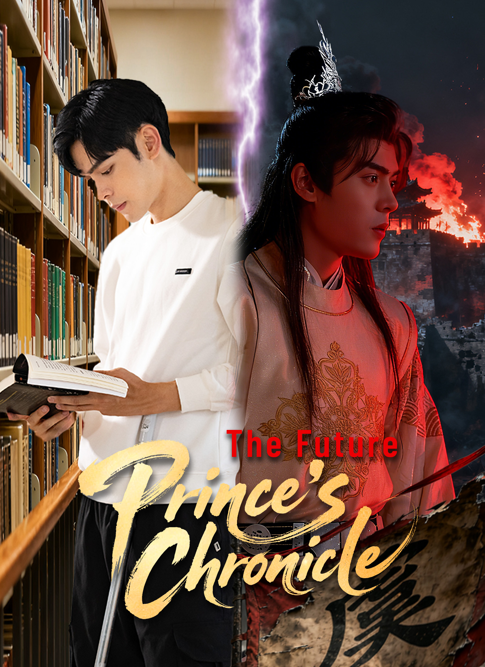 The Future Prince’s Chronicle