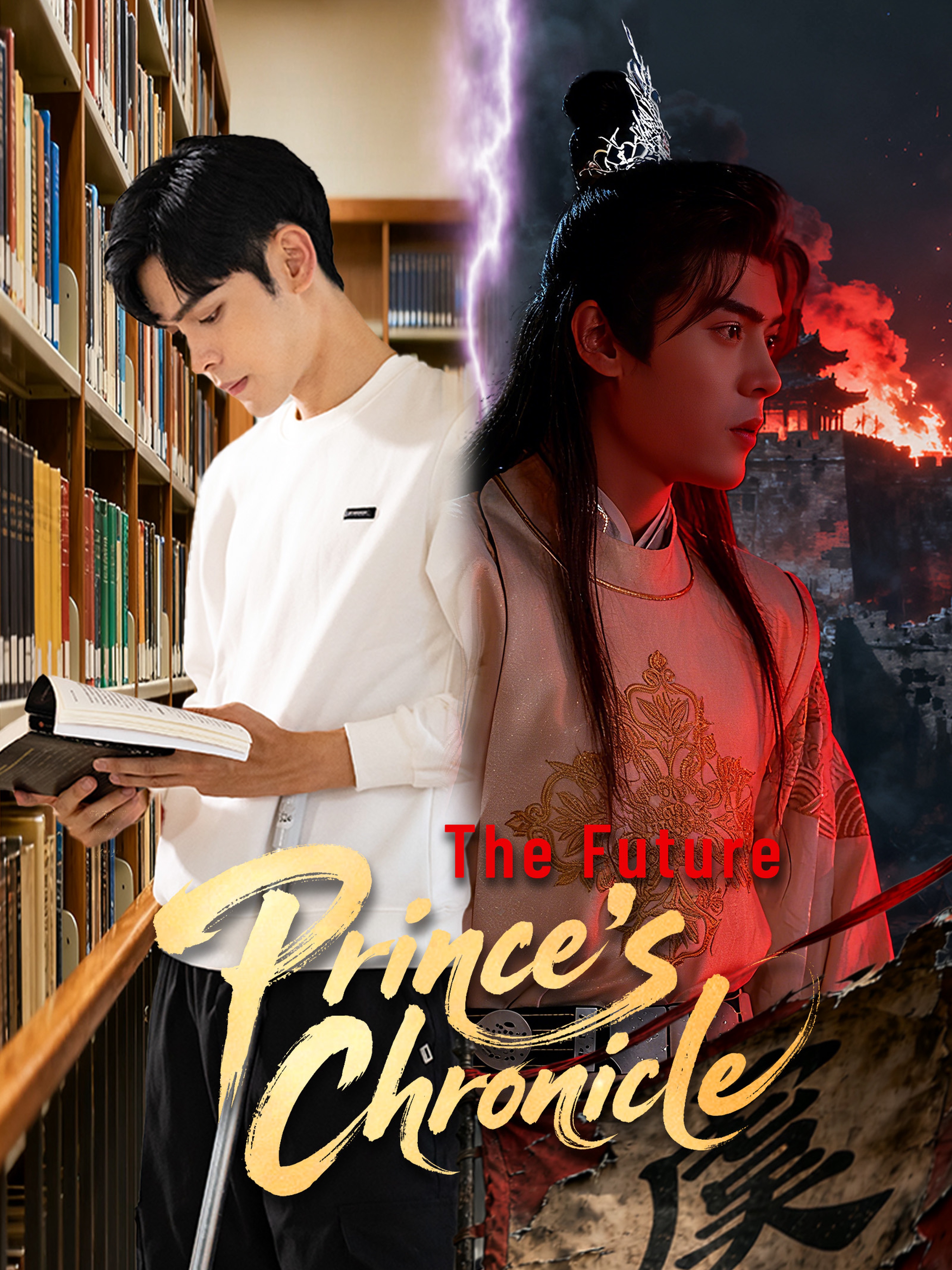 The Future Prince's Chronicle