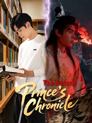 The Future Prince's Chronicle