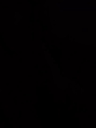 Sonho em Flor - Episode 15