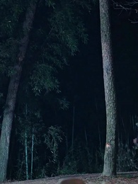 Rückkehr der Fürstin - Episode 48