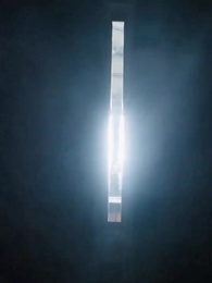 第10話 - ガン宣告された日に、夫を捨てた