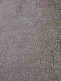 Episode 1 - Rückkehr der Fürstin