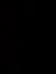 Épisode 15 - Quand le Rêve se Réveille