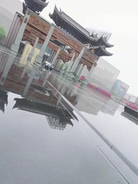 Bölüm 5 - Ülkenin Koruyucu Generali