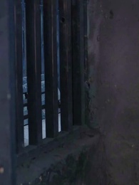 Rückkehr der Fürstin - Episode 66