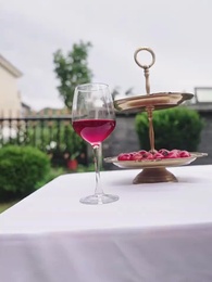 Bölüm 95 - Ülkenin Koruyucu Generali