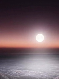 Bölüm 16 - Para, Güç ve Vicdan