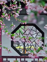 第25集 - 花前喜事