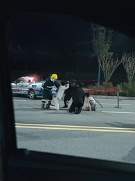 Épisode 23 - [Doublé]Adieu aux Reflets Perdus