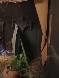 Épisode 52 - La Princesse du Village Fait Son Entrée