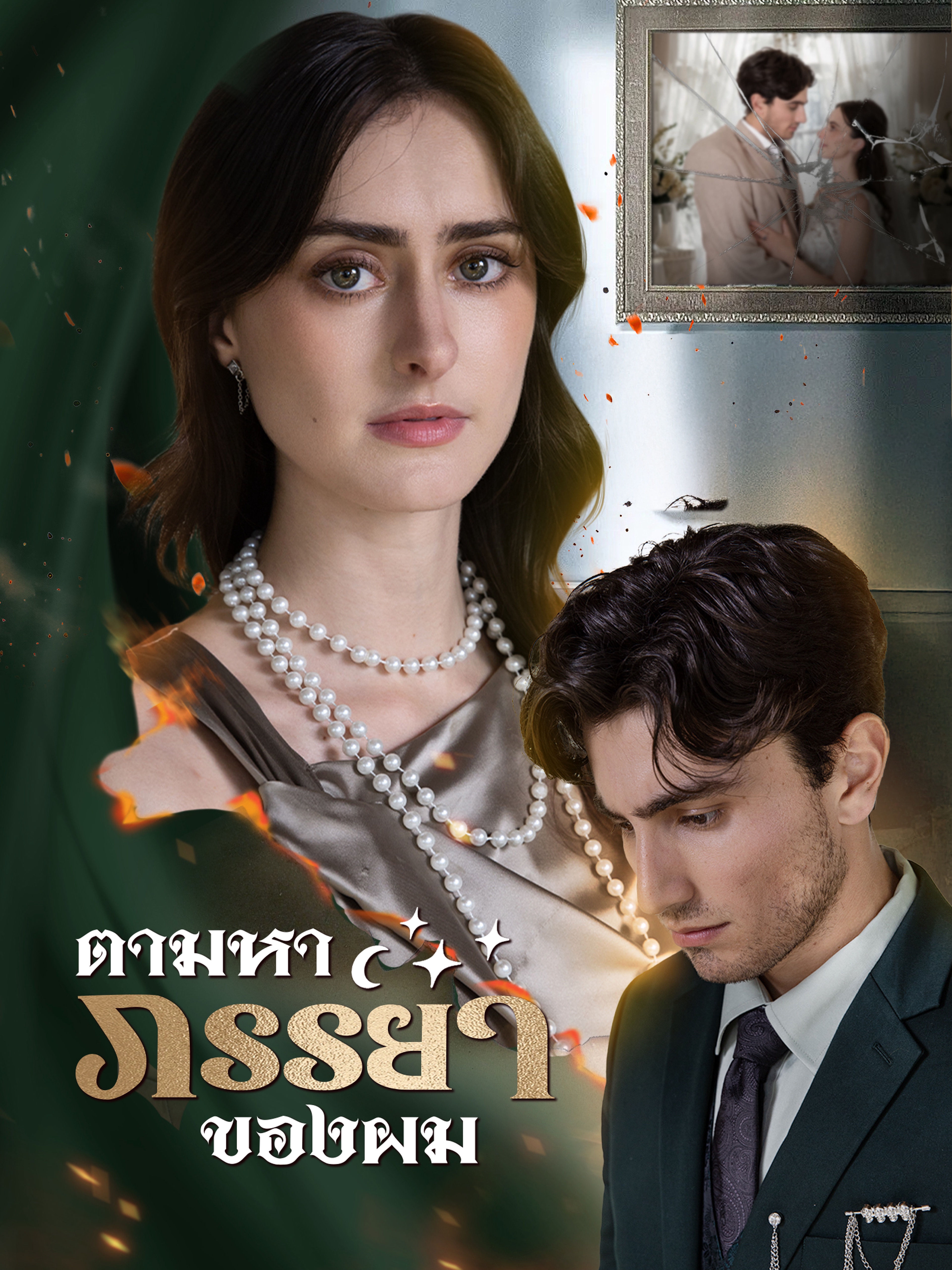 ตามหาภรรยาของผม (พากย์ไทย)