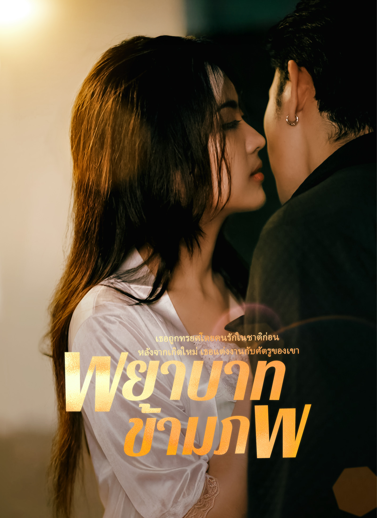 หน้าปกพยาบาทข้ามภพ