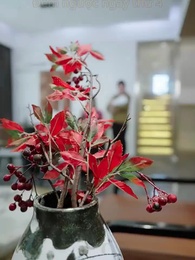 Tập 5 - Gió Mưa Đều Vì Em