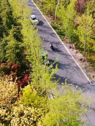 第49集 - 第九十九次離開你