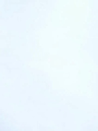 Bölüm 1 - Para, Güç ve Vicdan