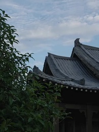 Thâm Cung Kế - Episode 42