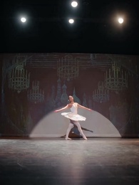 Die Rache der Erbin im Ballett - Episode 41