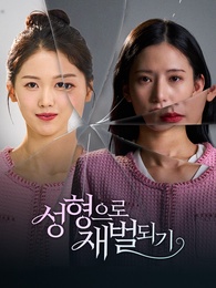 성형으로 재벌되기