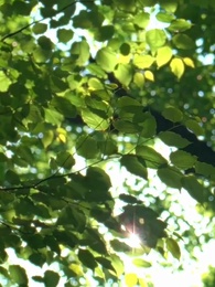 Die Wahrheit nach sieben Jahren - Episode 22