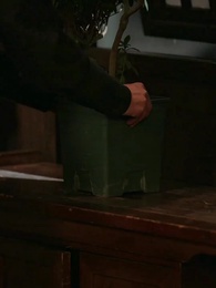 O Retorno da Noiva - Episode 30