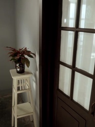 From Heartbreak to Headlines - Episode 48