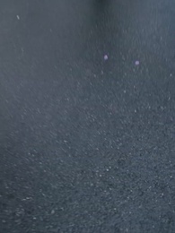 舊照凝霜失故主 - Episode 24