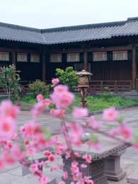 O General e a Princesa: Amor Além da Memória - Episode 37