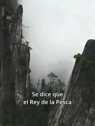 Episodio 1 - Ríndete ante el Rey de la Pesca