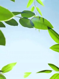 Paths of Healing - Episode 58