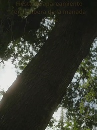 Episodio 2 - Robando a Mi Alfa de Hielo