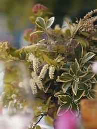 Robando a Mi Alfa de Hielo - Episode 28