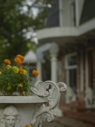 Robando a Mi Alfa de Hielo - Episode 49