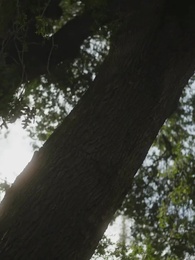 Episodio 58 - Robando a Mi Alfa de Hielo