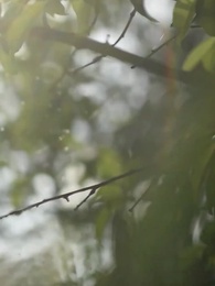 Robando a Mi Alfa de Hielo - Episode 18