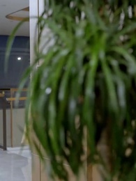 Episódio 42 - [Dublado]Herdeira única no mundo