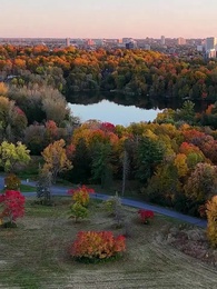 1화 - 마지막 포효: 알파 왕의 복수
