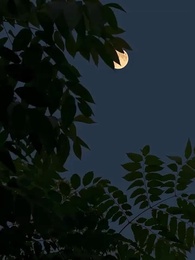 Episode 2 - Die letzte Braut des Berges