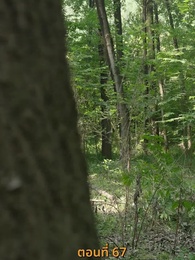 ตอนที่ 67 - [พากย์ไทย]ข้าคือผู้บำเพ็ญเซียน