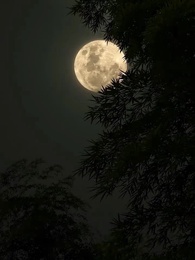 La Sanadora Chiquita - Episode 46