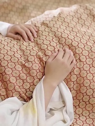 Episode 5 - Oops the Prince Has a Son