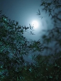 سيدة الإبرة الأسطورية - Episode 10