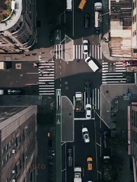 Episodio 12 - Quando l'Uccello in Gabbia Ritorna