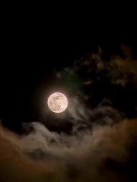 La Sanadora Chiquita - Episode 5