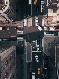 Episodio 12 - Regreso del ave enjaulada