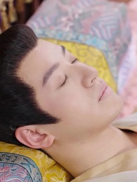 Episode 25 - Oops the Prince Has a Son