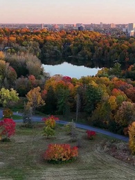 Episode 1 - Pembalasan Raja Alfa